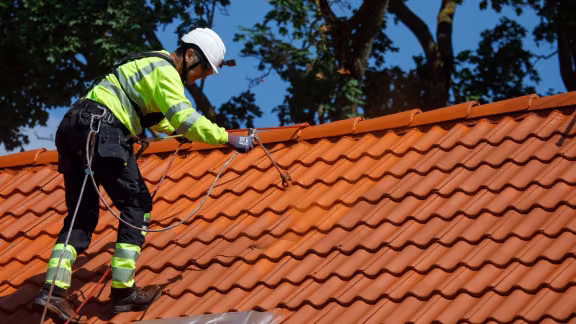 Roof painting