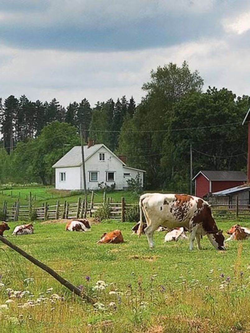 Gyvulininkystės ir žemdirbystės įrenginiai