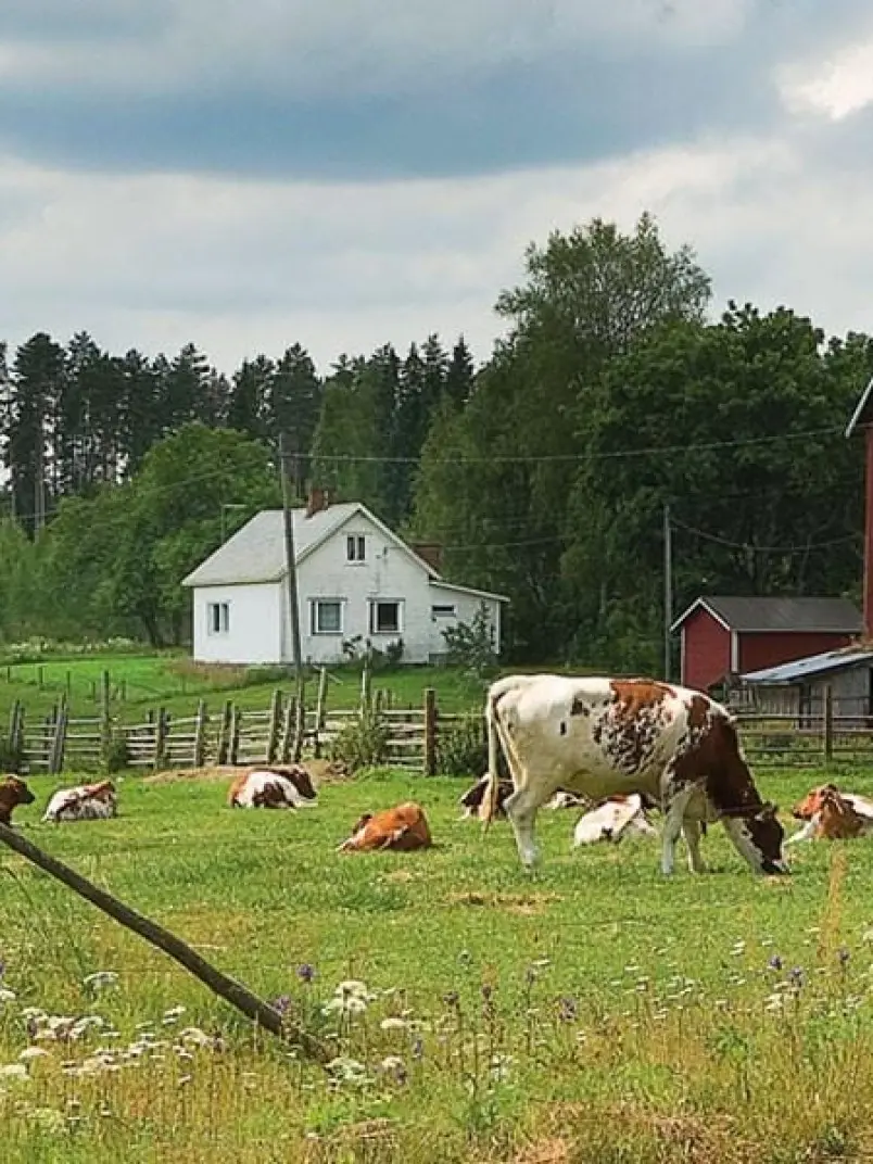 Gyvulininkystės ir žemdirbystės įrenginiai