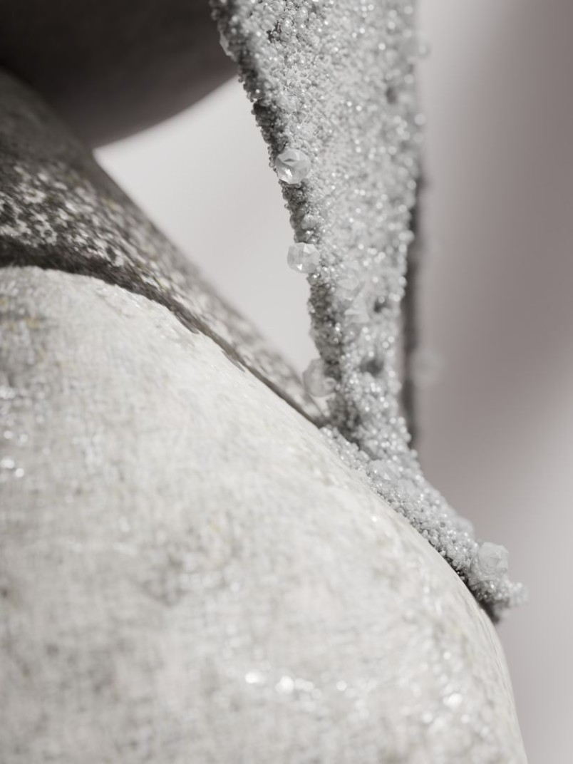 color-now-2025-netrukus