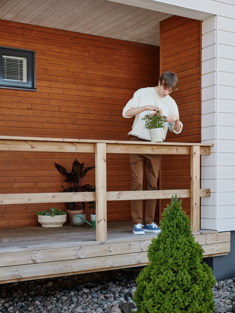 medinio fasado ar tvoros dengimas dažyve