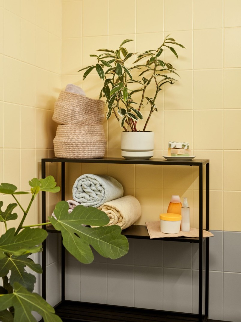 Drėgnos patalpos dažymas