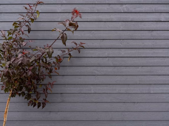 newly painted wood house cladding