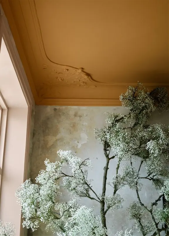 interior colour trends 2024