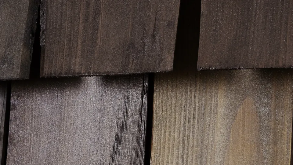 Permatomi perlamutriniai medienos atspalviai „Arctic“