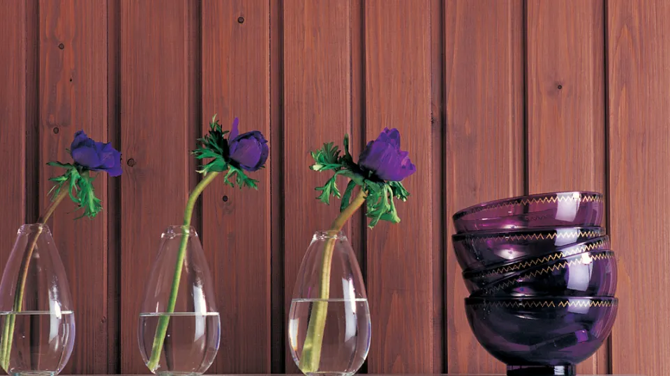 Vidaus beico ir lako spalvynas