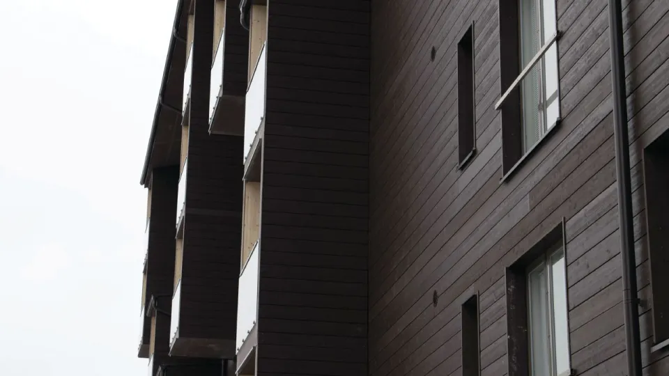 Apie medinių paviršių dangas