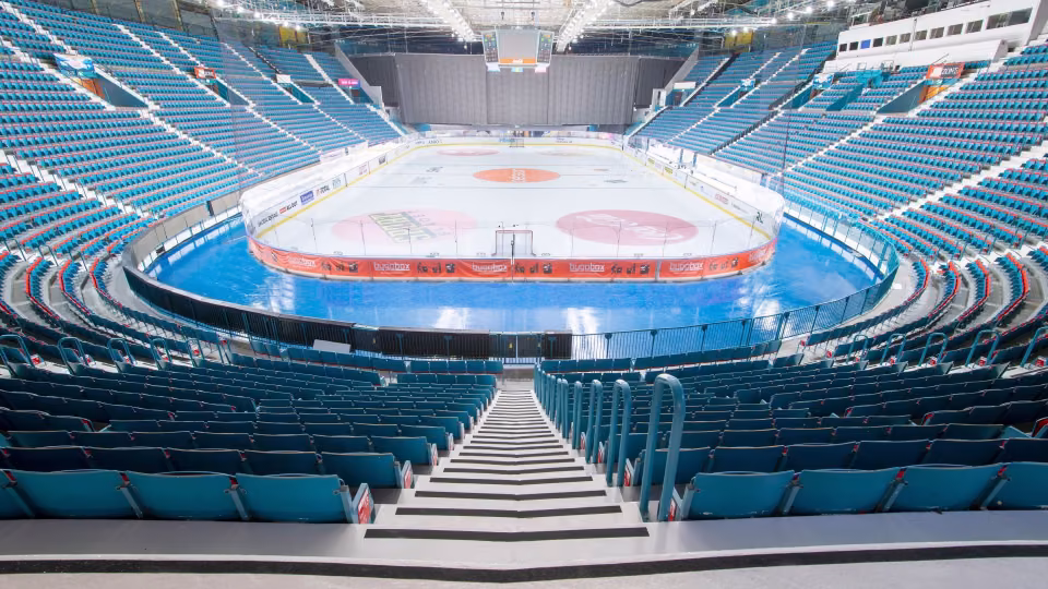 Hoveto arenos grindų ir sienų renovacija