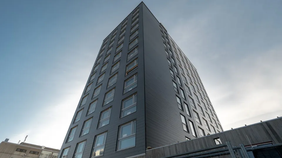 Daugiabučio fasado apdaila