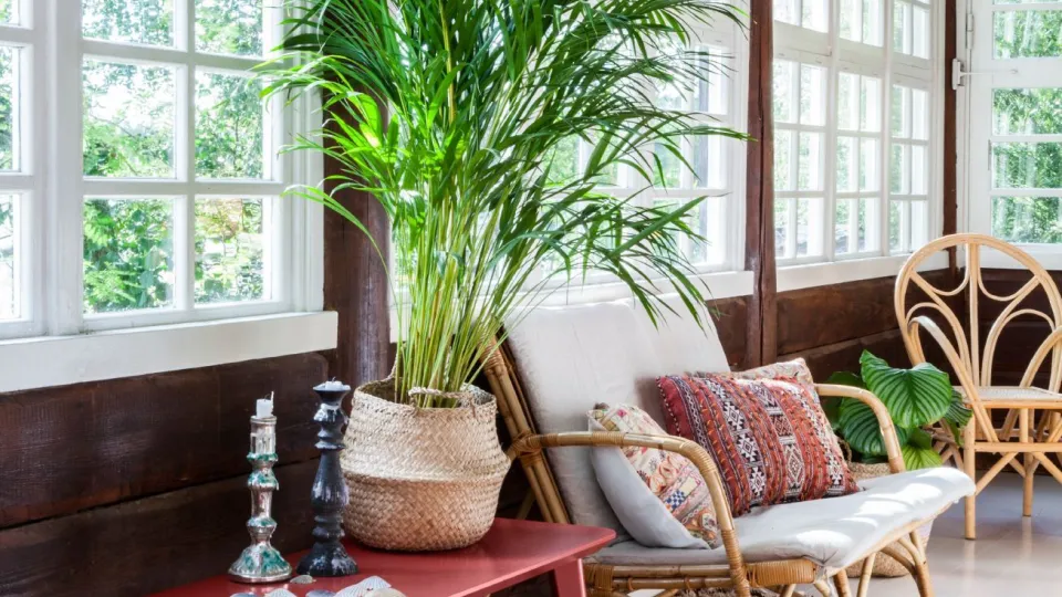 Spalvų kolekcija „Color Now 2019“