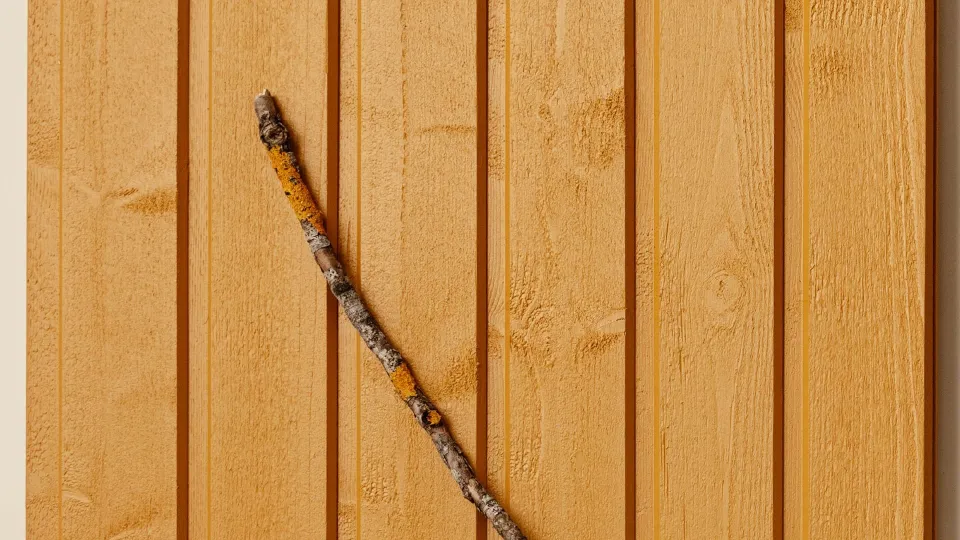 Populiari geltona medinių fasadų spalva – „Sinappi“ (D105)