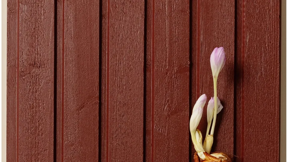 Populiari raudona medinių fasadų spalva – „Menninkäinen“ (D110)