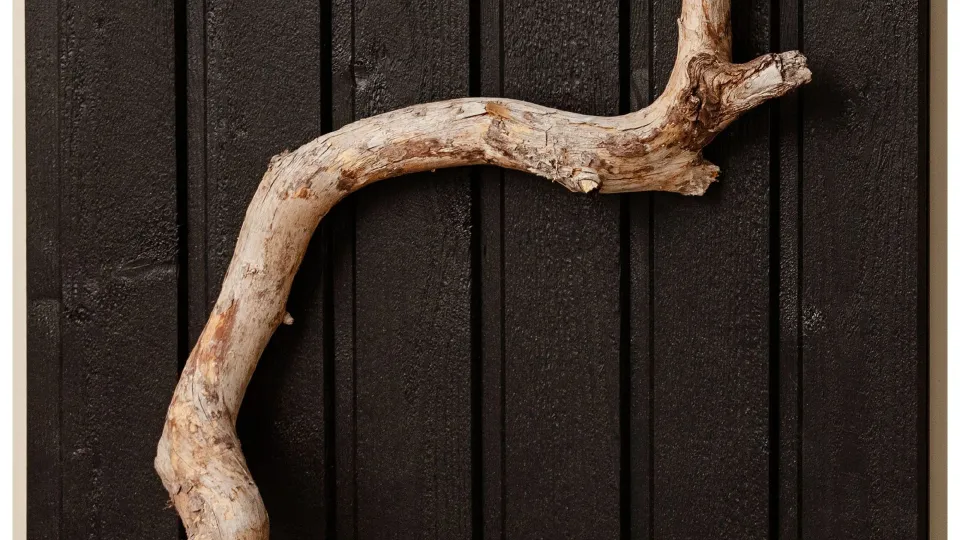 Populiari juoda medinių fasadų spalva – „Korppi“ (D129)