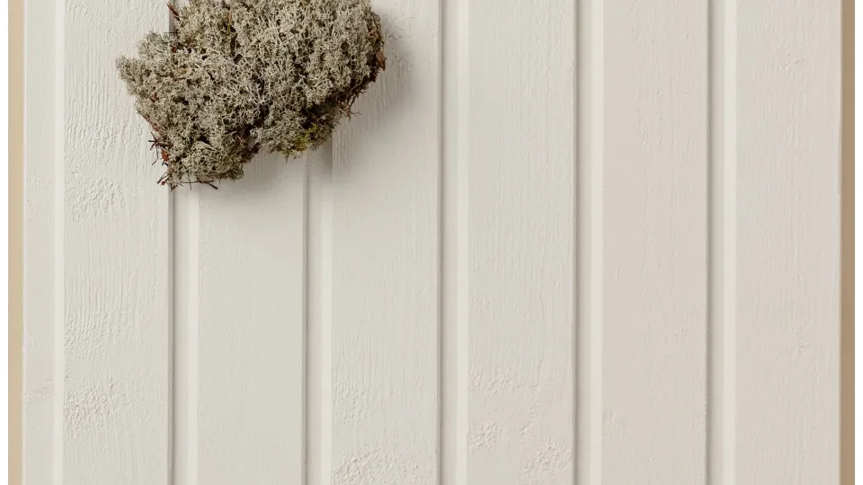 Populiari balta medinių fasadų spalva – „Pyry“ (Q854)