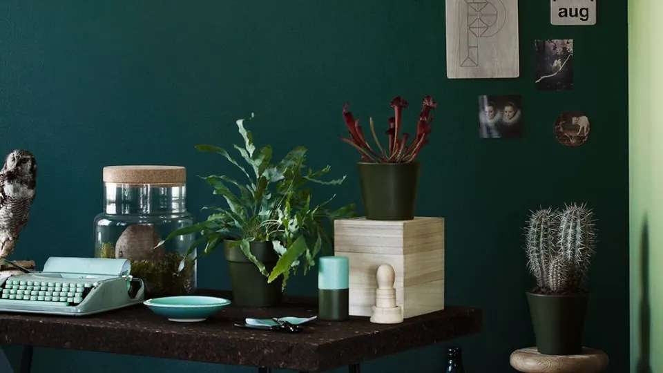 Žalia namų darbo vieta