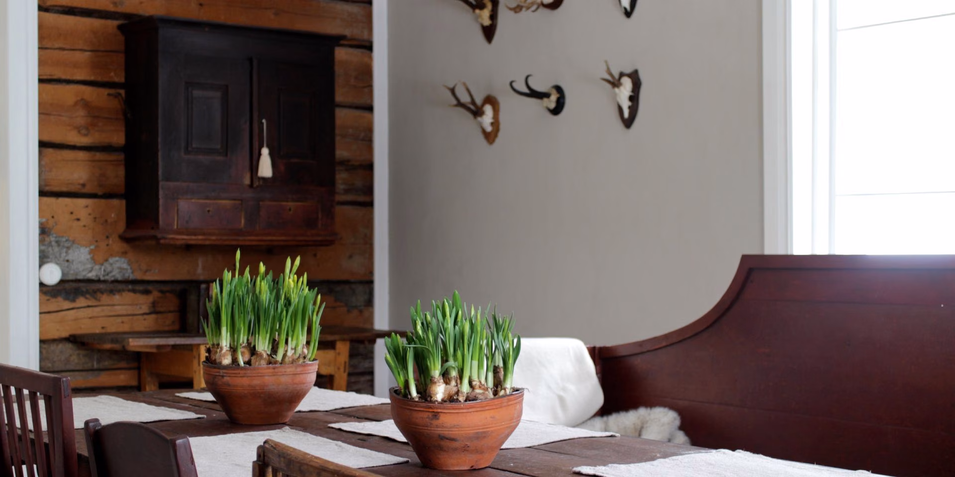 Greyish brown dining room wall