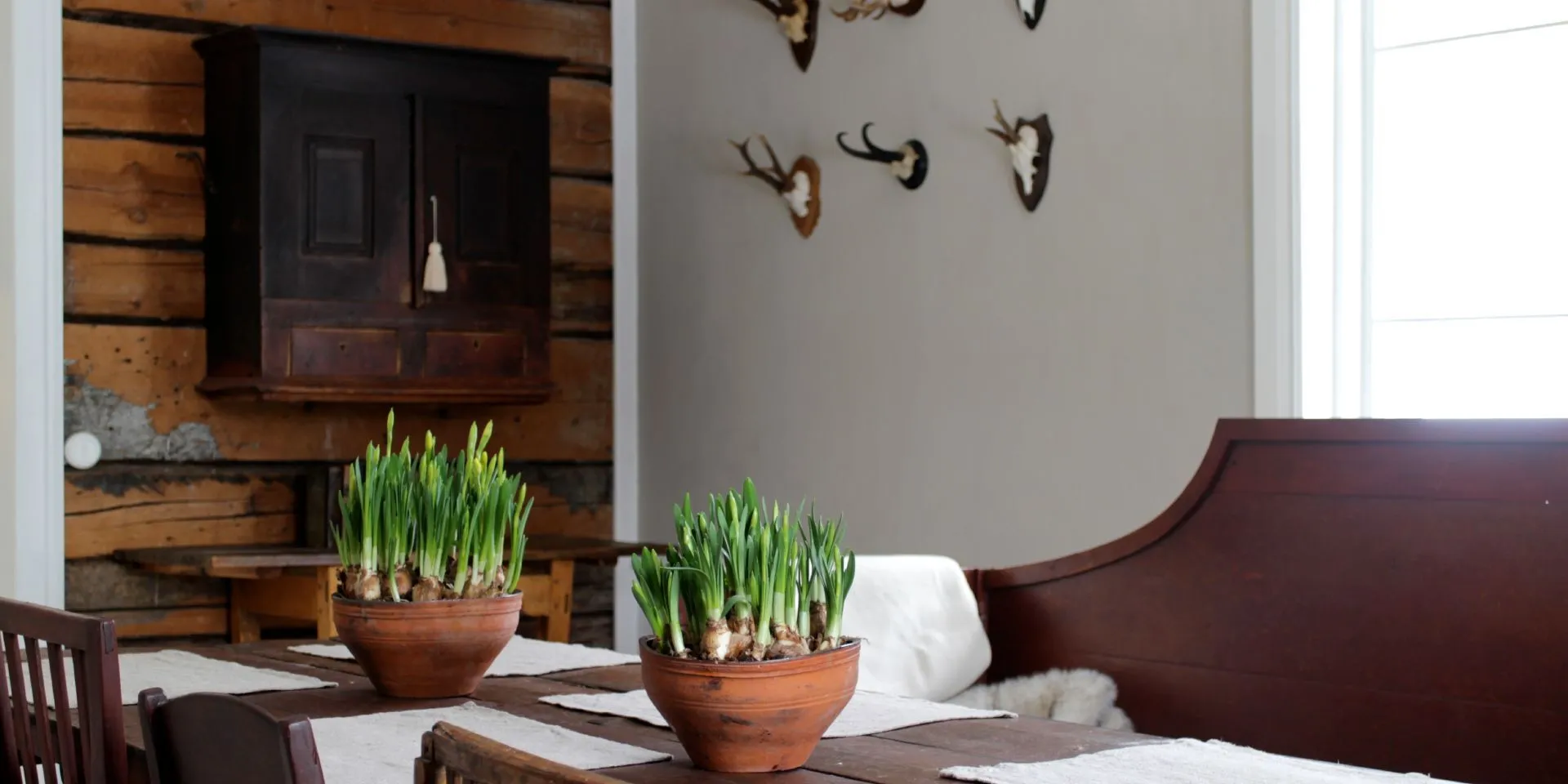 Greyish brown dining room wall