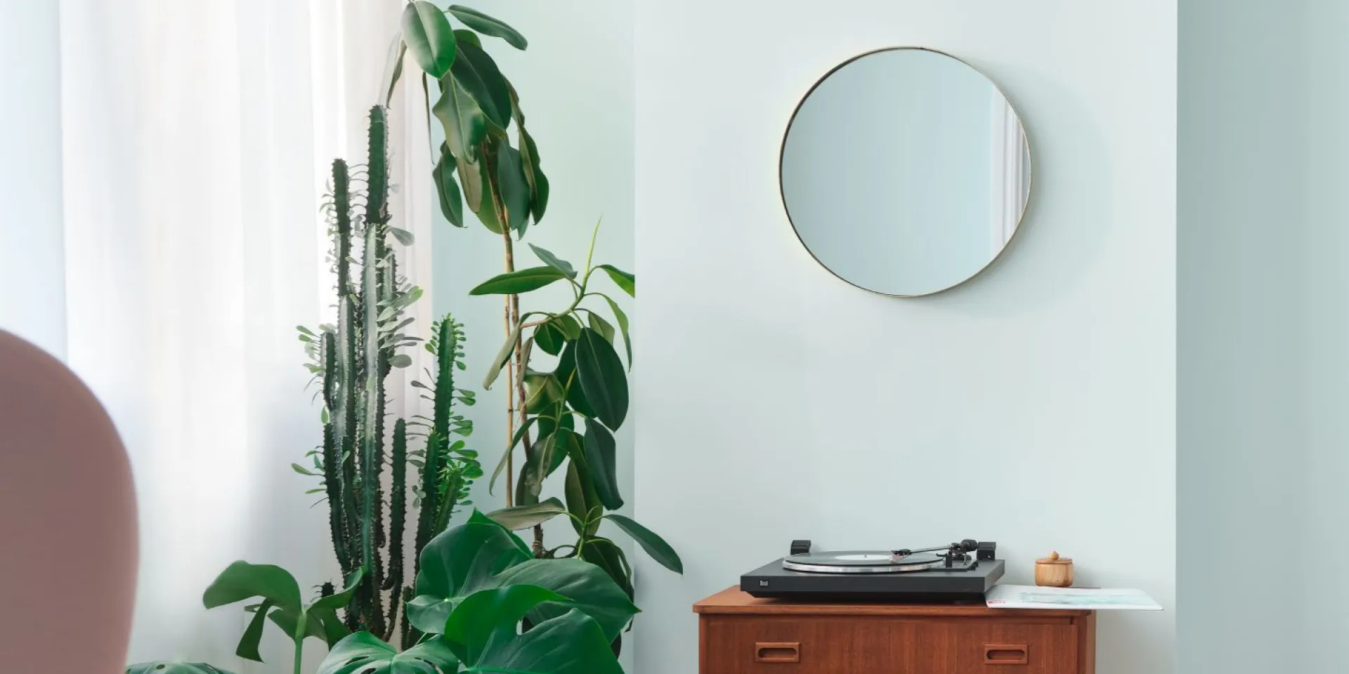 Žaliai dažyta siena