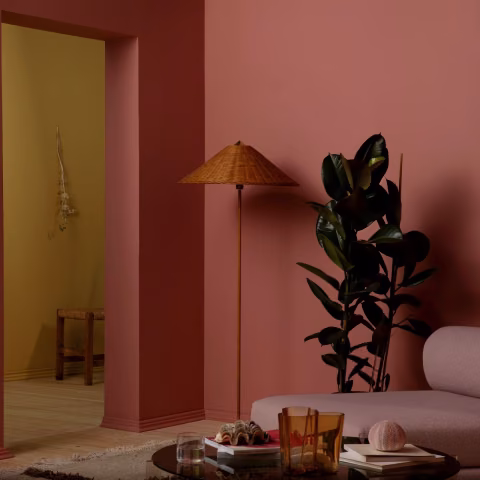 Tikkurila 2023 metų spalva
