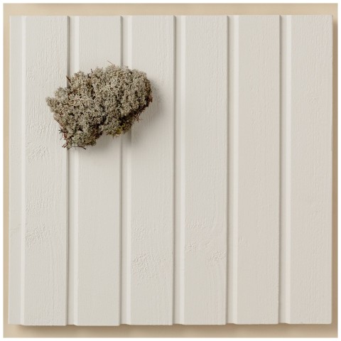 Populiari balta medinių fasadų spalva – „Pyry“ (Q854)
