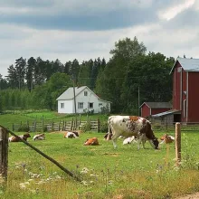 Gyvulininkystės ir žemdirbystės įrenginiai