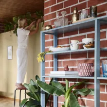 dideli žali augalai dekoravimo lentynoje priešais plytų sieną