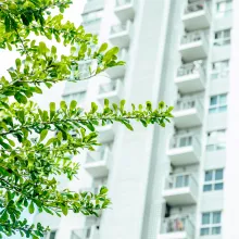 Patvirtinto gaminio poveikio aplinkai deklaravimas naudojant EPD 