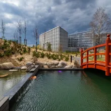 Japoniškas sodas VIlniuje