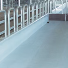cowshed_5.jpg