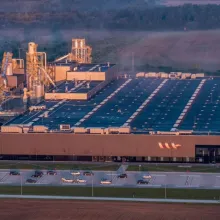 medienos drožlių plokščių gamykla Akmenės laisvojoje ekonominėje zonoje (LEZ)