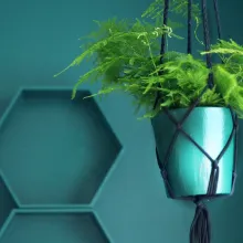 Žalia fjordo spalva studijoje