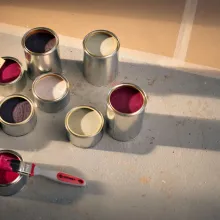 Kaip išsirinkti tinkamus dažus sienoms ir luboms