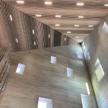 Medienos apsauga nuo ugnies