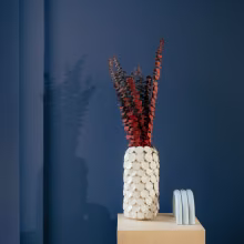 Tikkurila color of the year