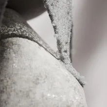 color-now-2025-netrukus