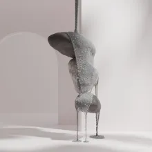 color-now-2025-netrukus