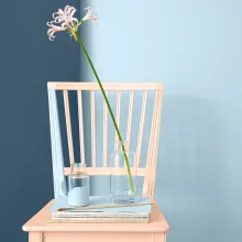 atnaujinkite nuomojama būsta pasitelke dazus