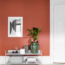 living room wall painted with terracotta color