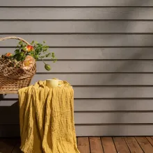 medinio fasado dažymas