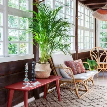 Color Now 2019 spalvų kolekcija