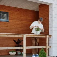 medinio fasado ar tvoros dengimas dažyve