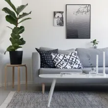 „Tikkurilan Valkoinen“ spalva dažyta svetainė