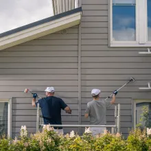 Medinio fasado dažymas