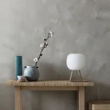 Dekoratyvinio sienų dažymo galimybės ir instrukcijos