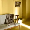 color now 2026