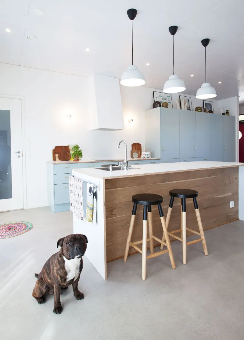White painted kitchen walls and cabinets