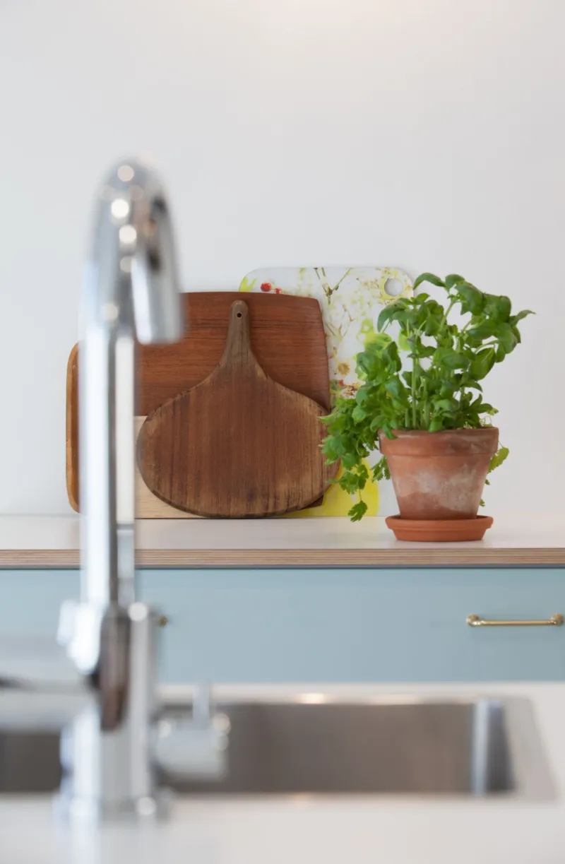 plants in front of the kitchen wall