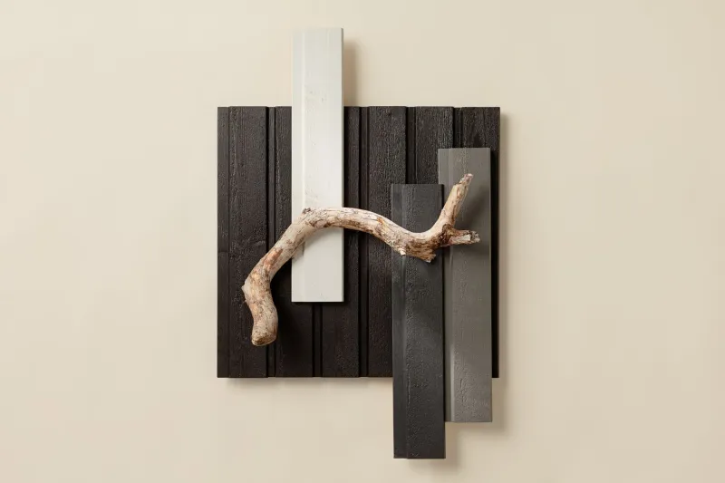 wooden facade colour palette for black D129