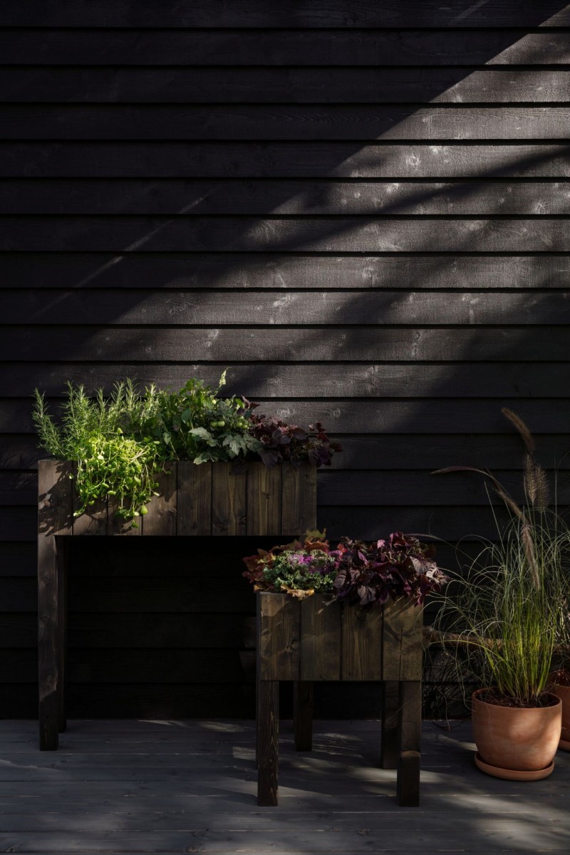 plants in front of dark wooden pergola wall