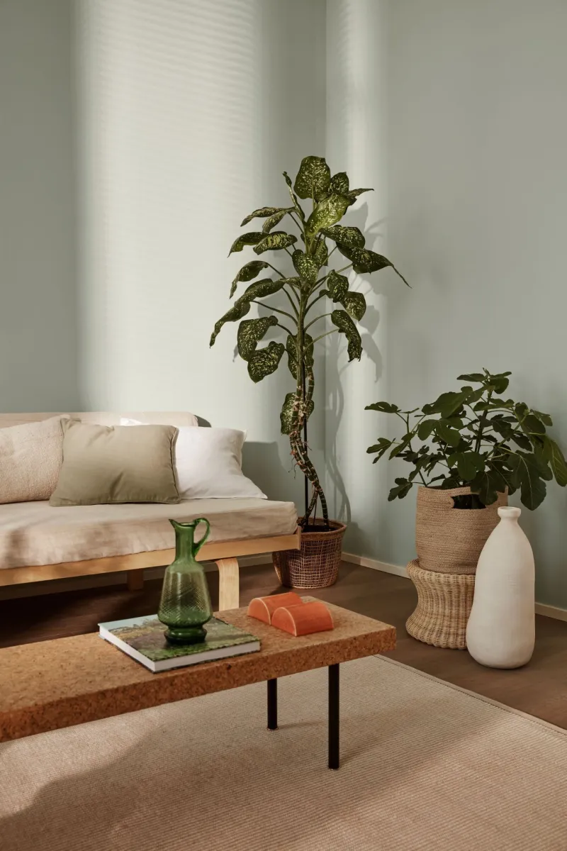 light green wall and wooden furniture in living room